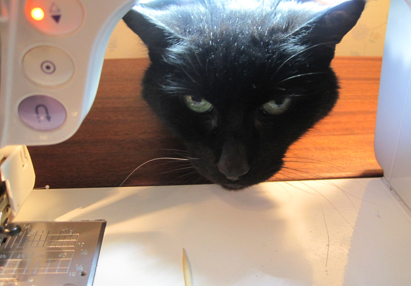 2013-12, Theo on my sewing table