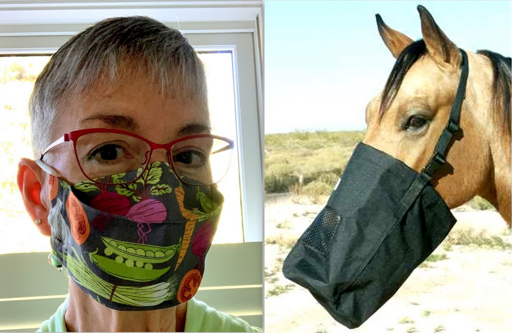 Feedbag Face Masks First Light Designs